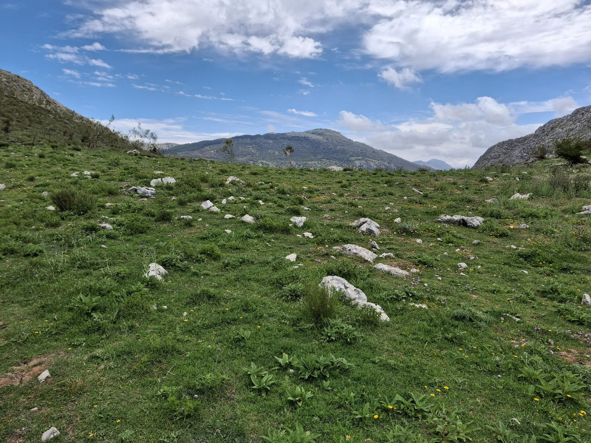 Groen, rotsachtig veld met bergen op de achtergrond.