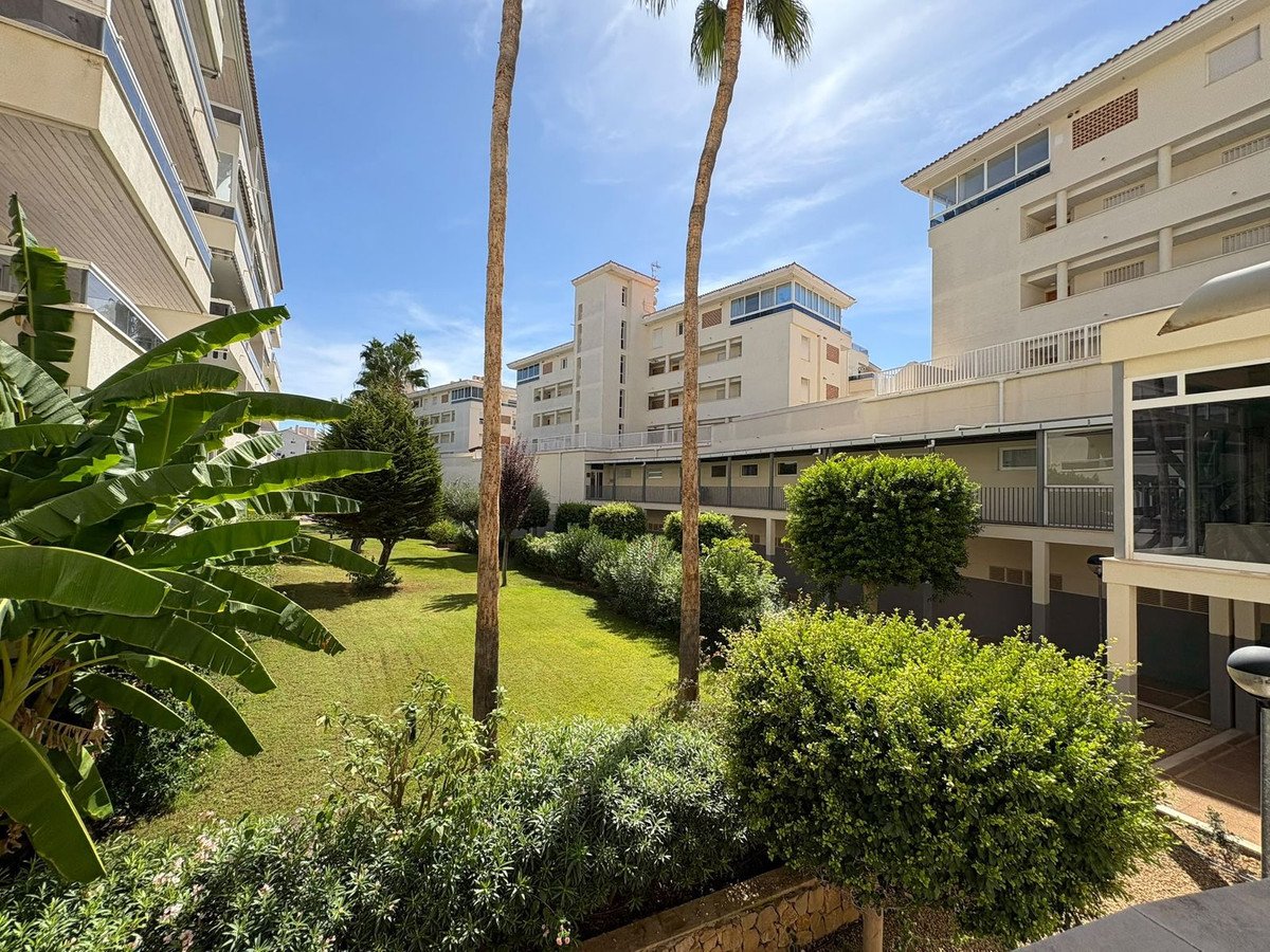 Sunny courtyard with green lawn, lush plants, palm trees, and apartment buildings in the background.
