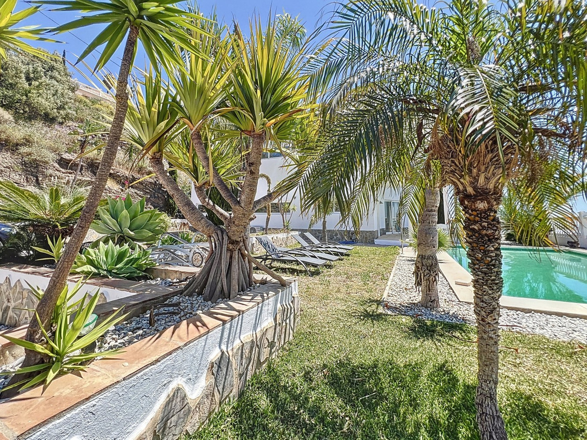 Tuin met zwembad en palmbomen