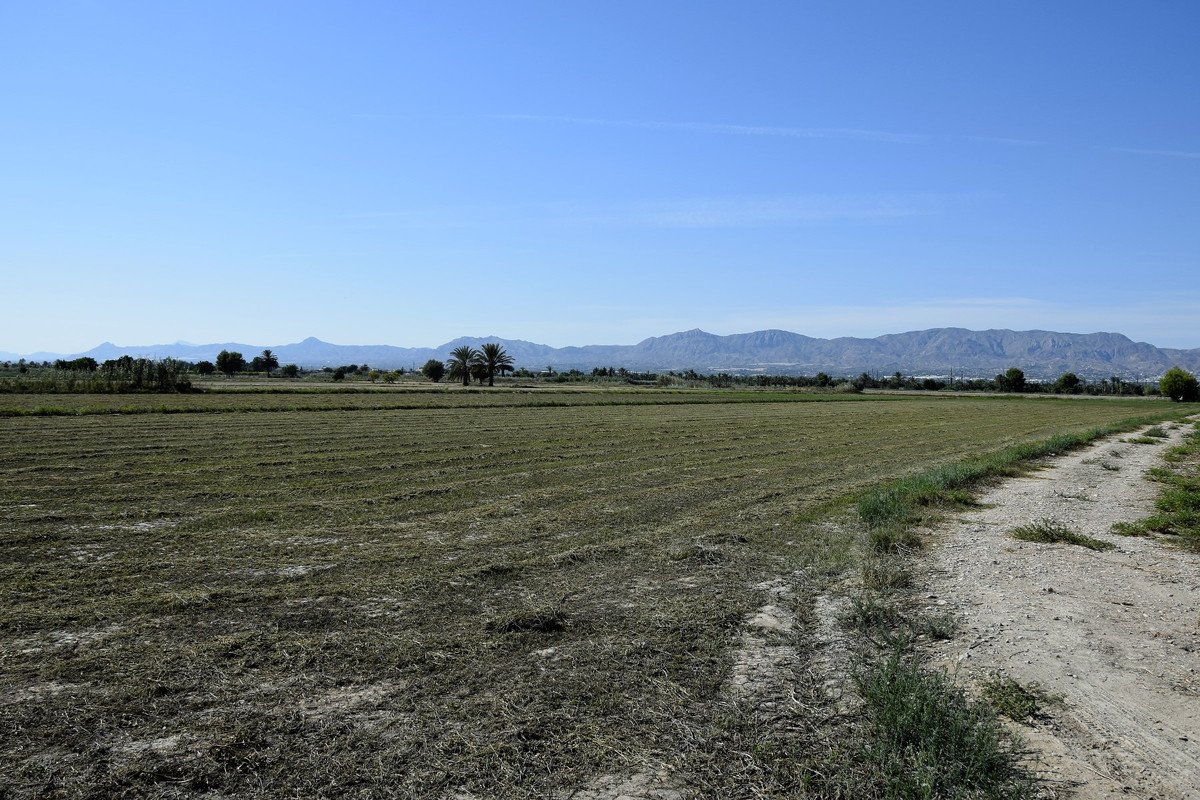 03 photo