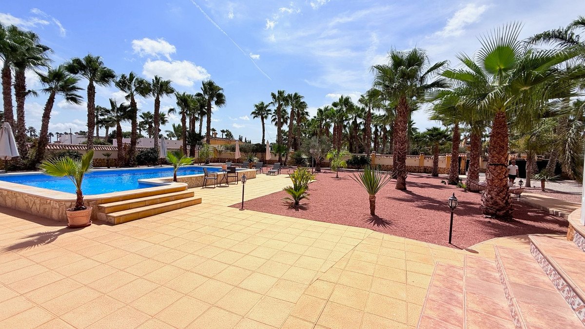 Sunny outdoor area with a swimming pool, numerous palm trees, and lounge chairs, perfect for relaxation.