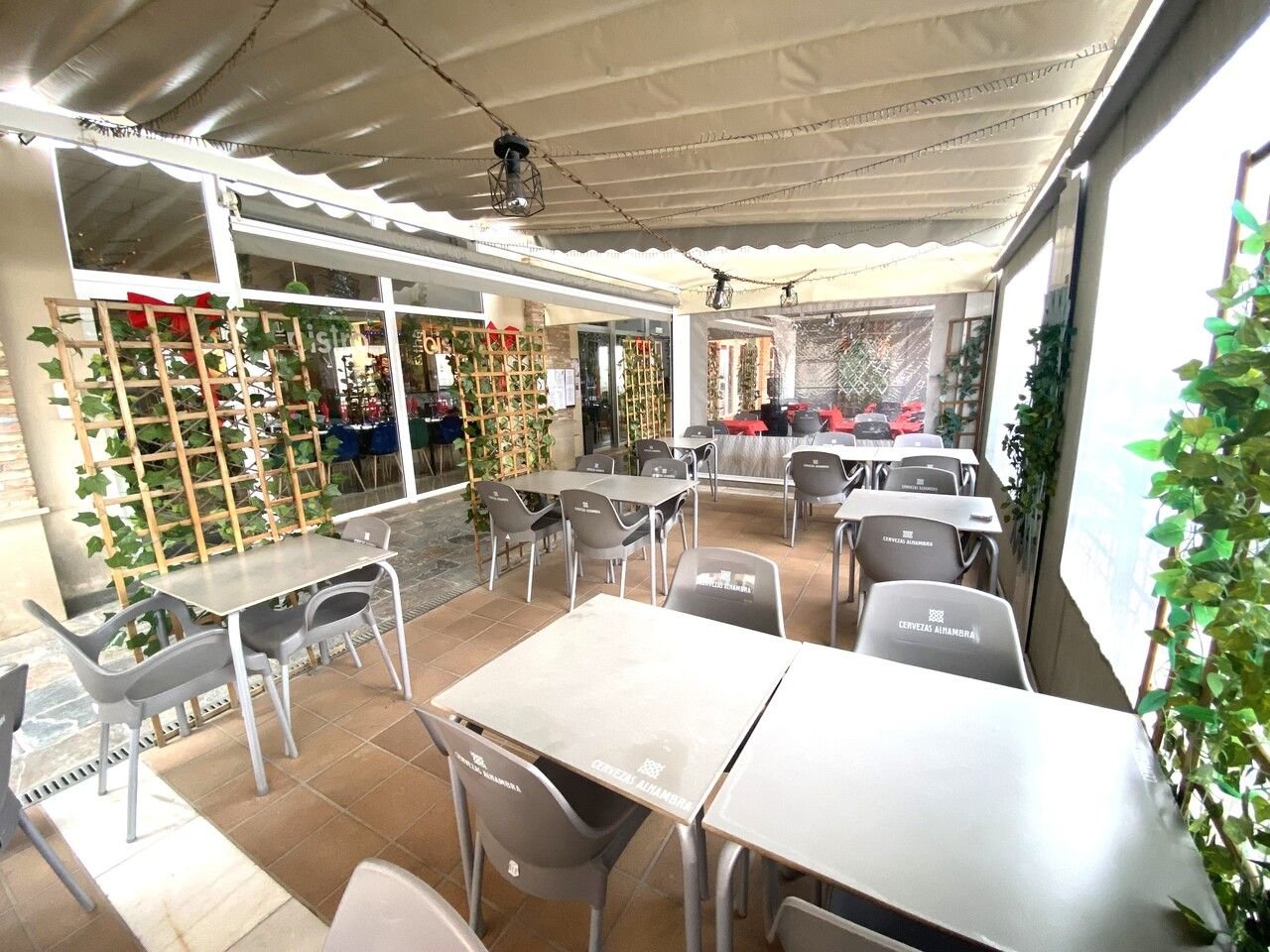 Other in Algorfa v Algorfa — Iné