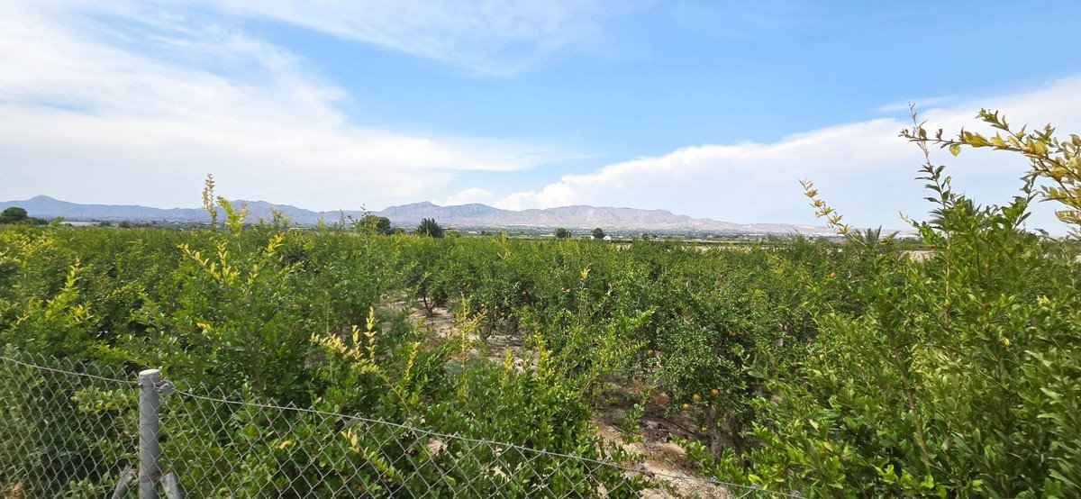 Land in San Isidro في San Isidro, أرض
