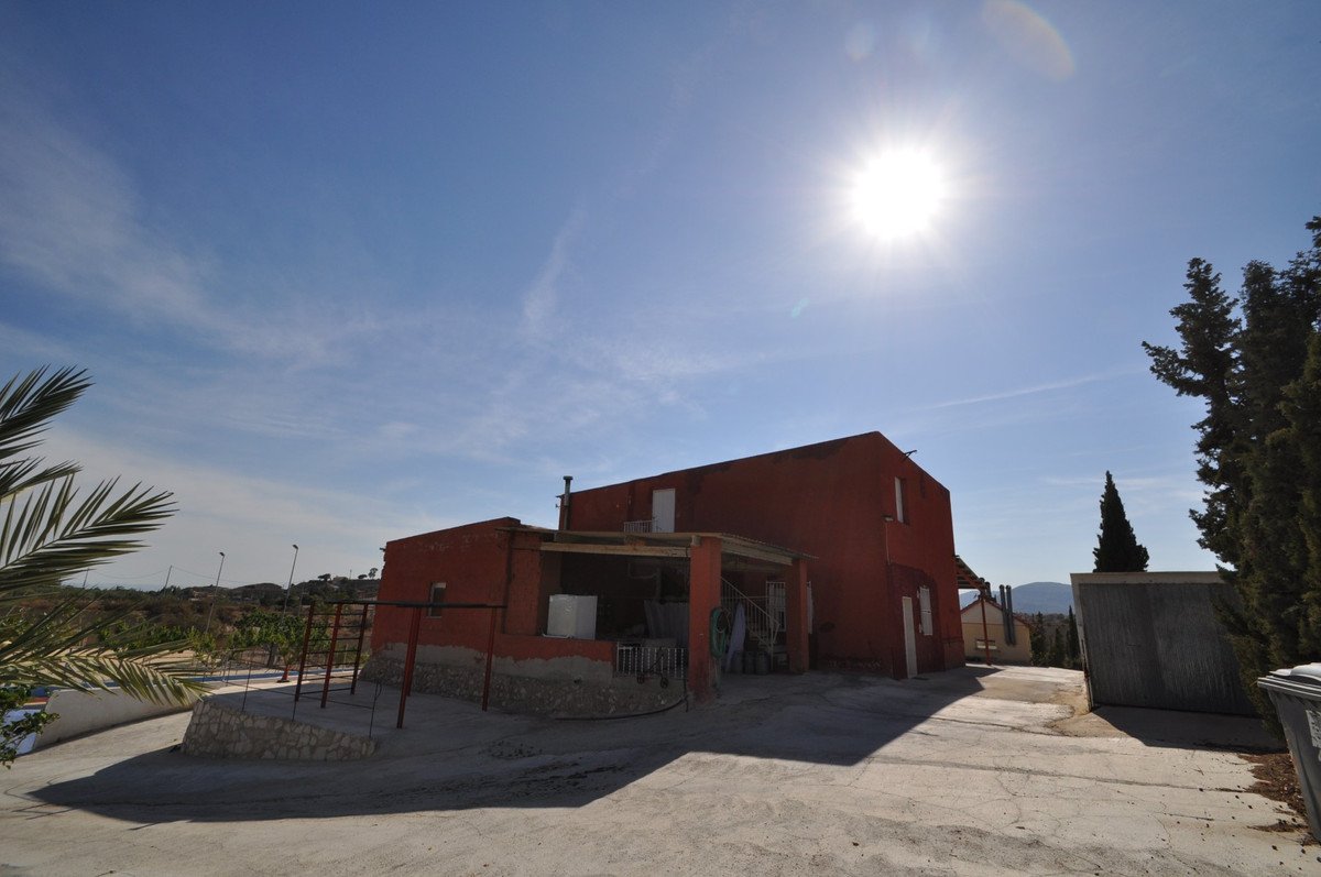 04 photo