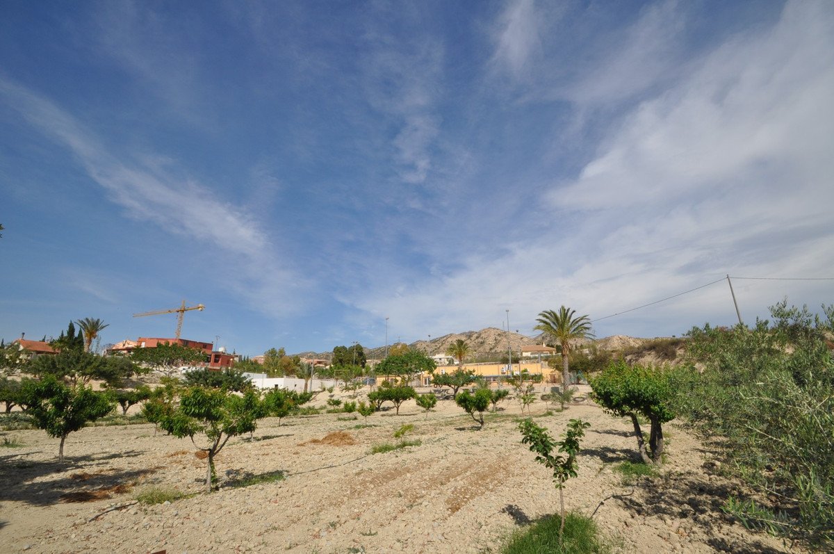 05 photo