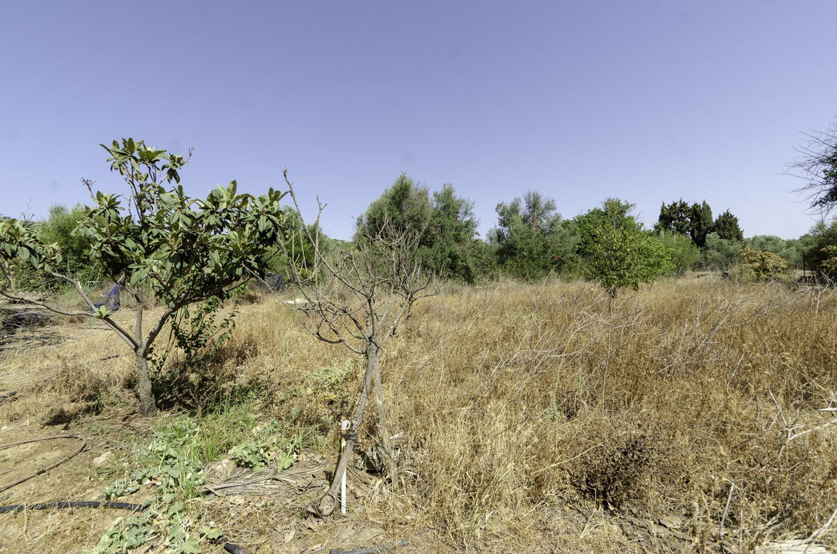 03 photo