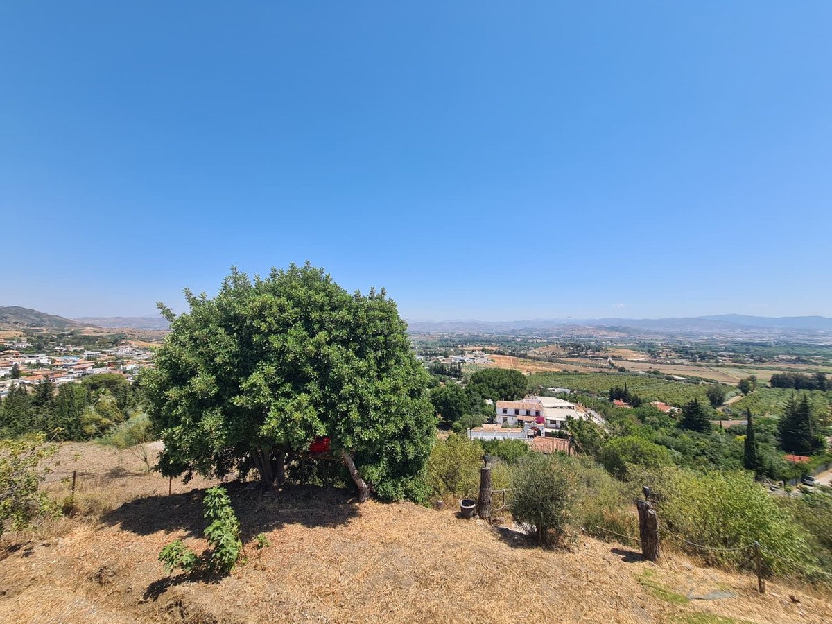 Scenic landscape view with a large tree and a village below under a clear blue sky