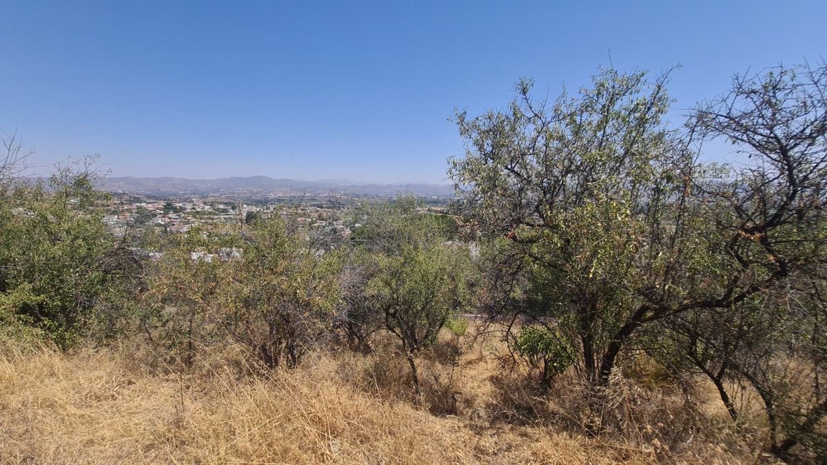Hilly landscape with trees and distant view of a town under a clear blue sky