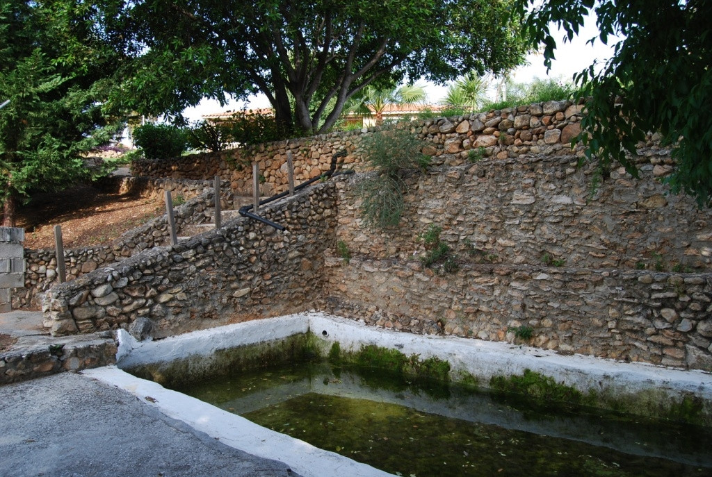 31 photo