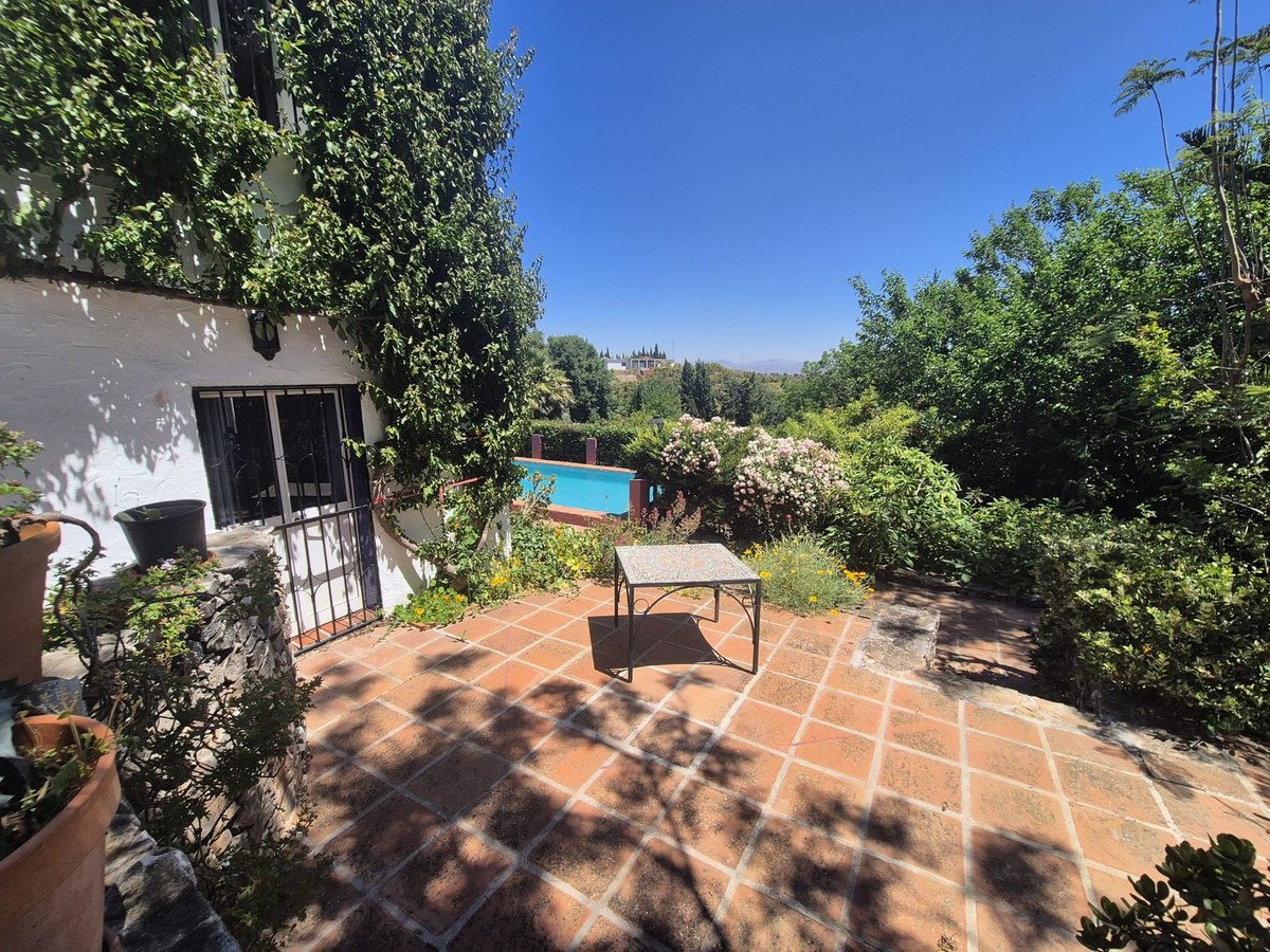 Terracotta patio with pool view, lush greenery, and white villa under clear blue sky.