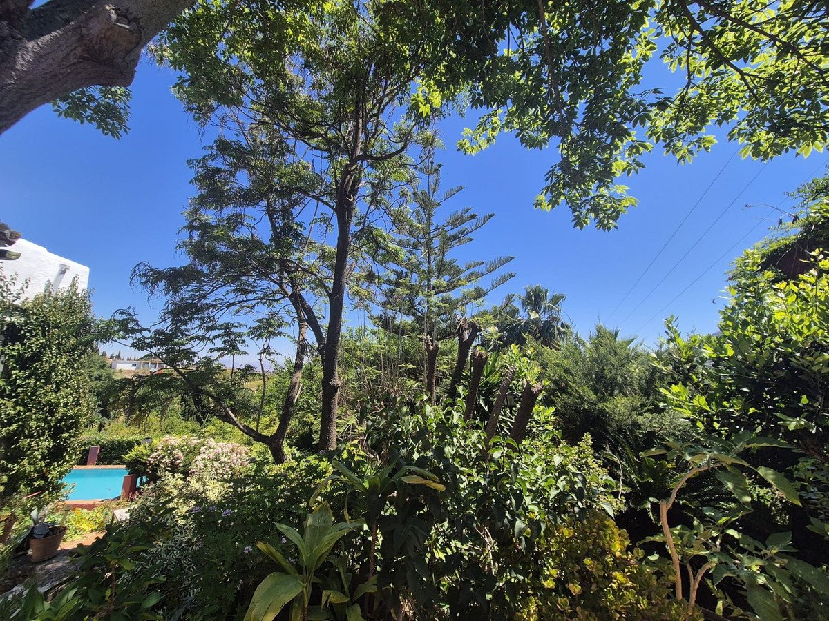 Lush garden view with trees, plants, and a pool under a clear blue sky.