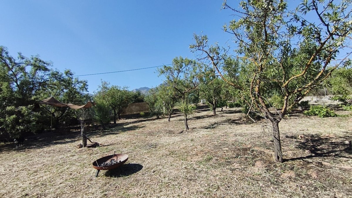 05 photo