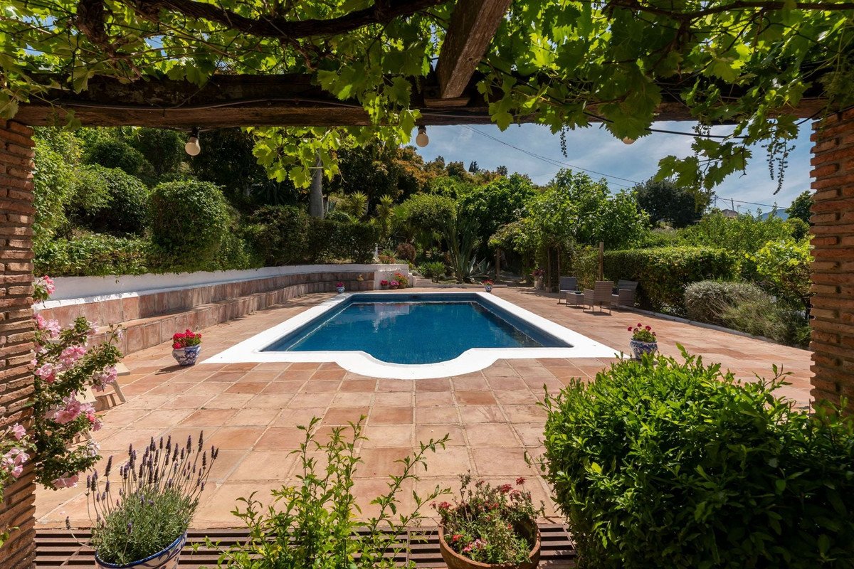 A rectangular swimming pool with white trim, surrounded by a tiled patio and lush green landscaping under a vine-covered pergola.