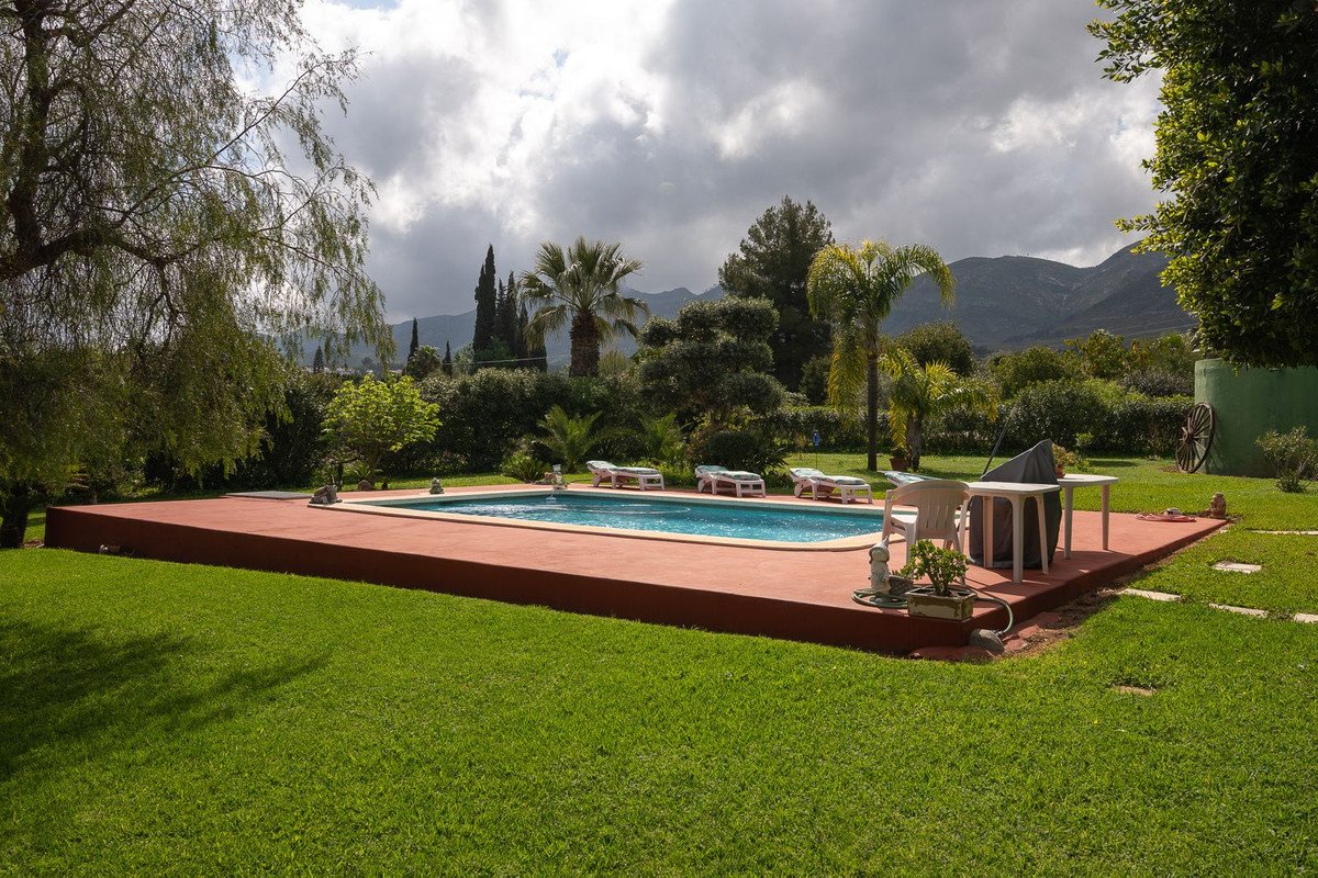 Backyard pool with lounge chairs, lush green lawn, palm trees, and mountain views under cloudy sky.