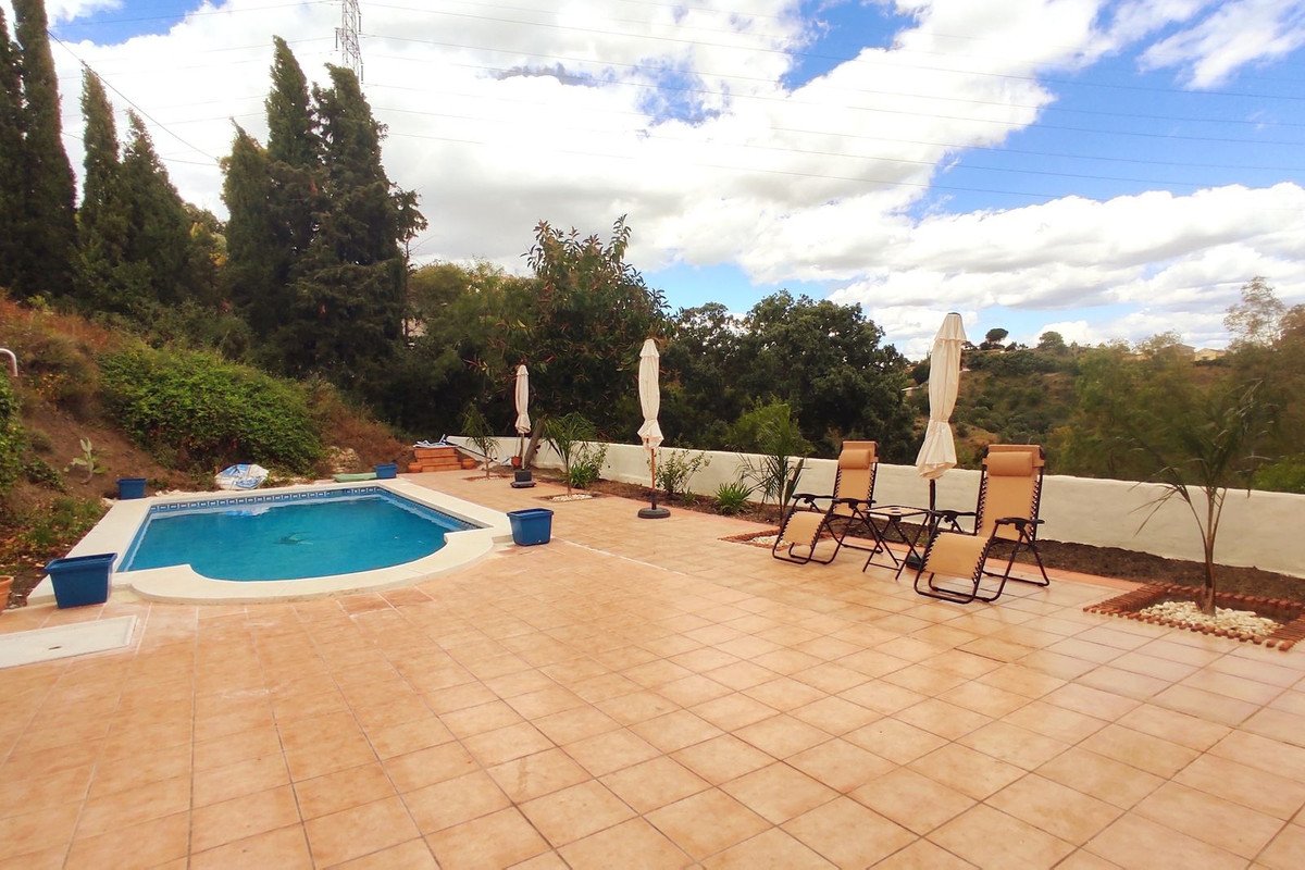 Outdoor swimming pool with lounge chairs and umbrellas surrounded by greenery