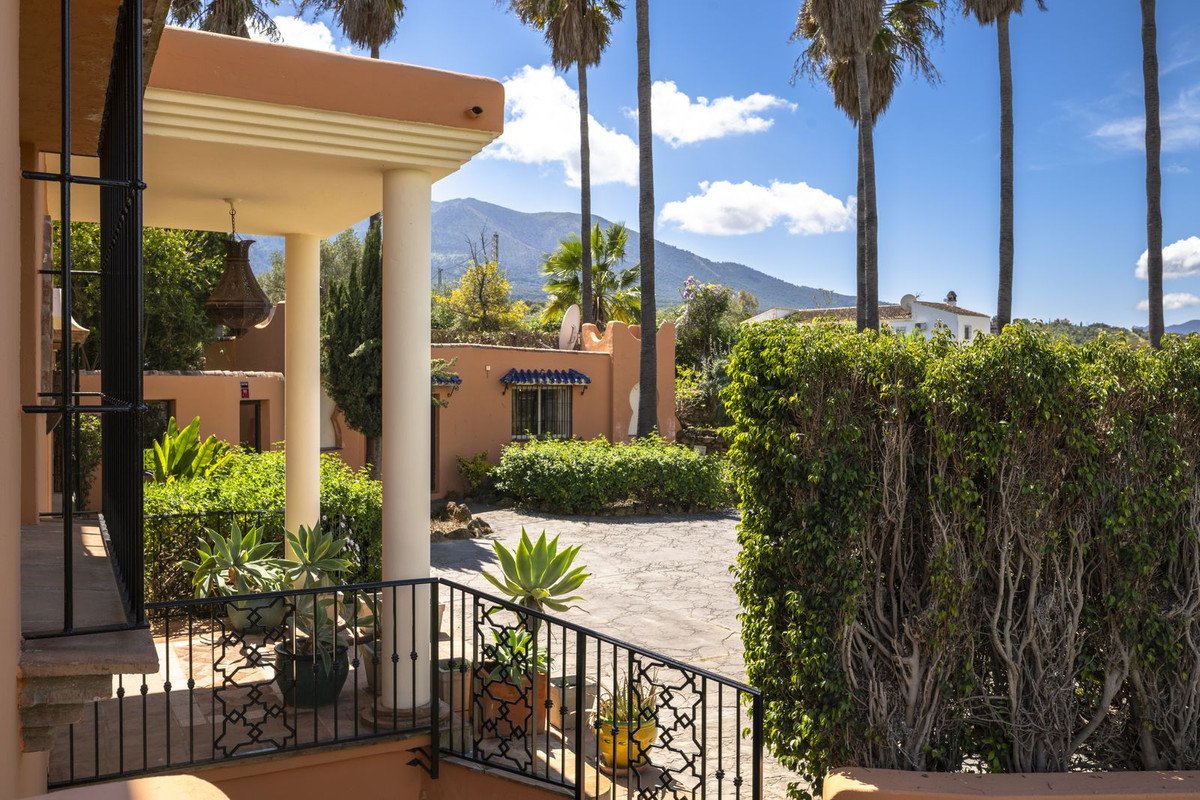 Patio with palm trees, mountain view, and terracotta architecture under a blue sky.