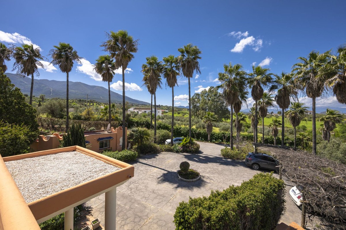 Balcony overlooking a garden with palm trees and distant mountains under a clear blue sky