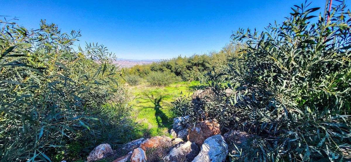 Land in Alhaurín el Grande v Alhaurín el Grande — Zemljišče