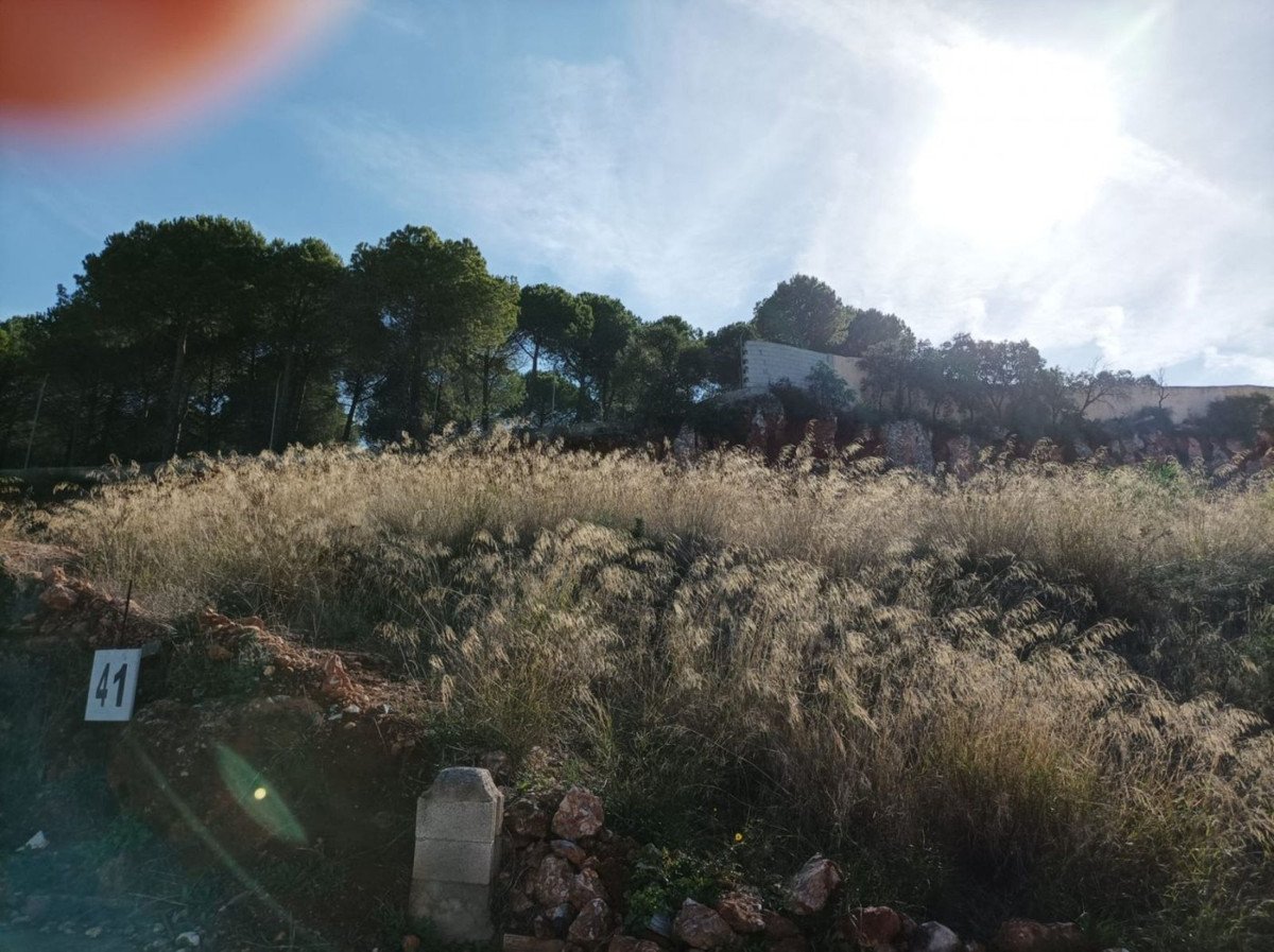 Residential Plot in Alhaurín el Grande - Alhaurín el Grande — Elamukrunt