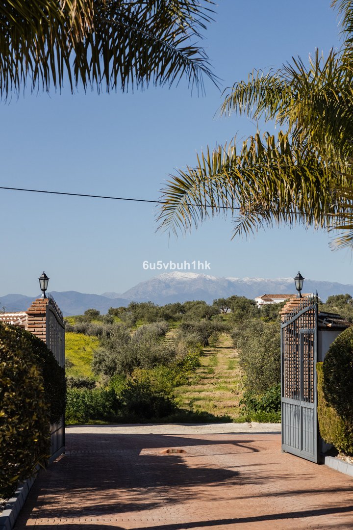 5 Bed Casă în șir in Alhaurín el Grande în Alhaurín el Grande, Casă în șir