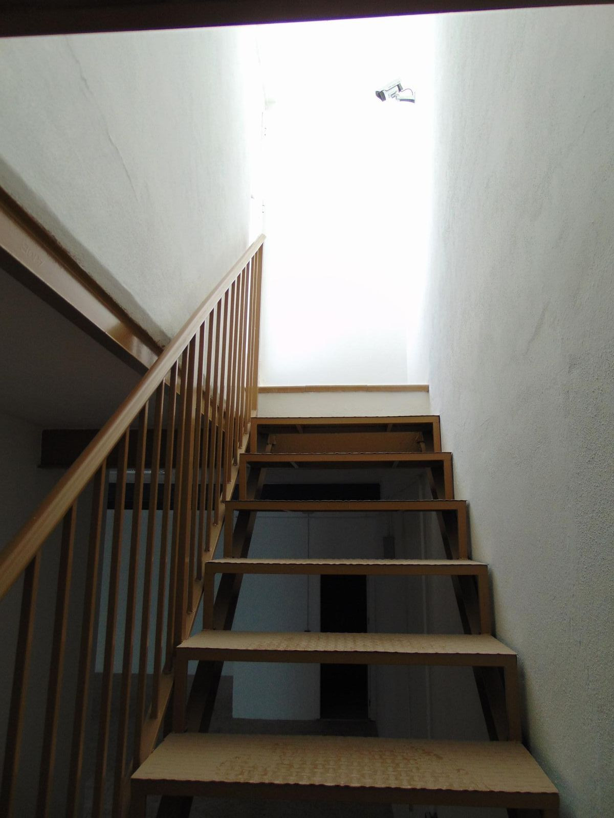 06 photo