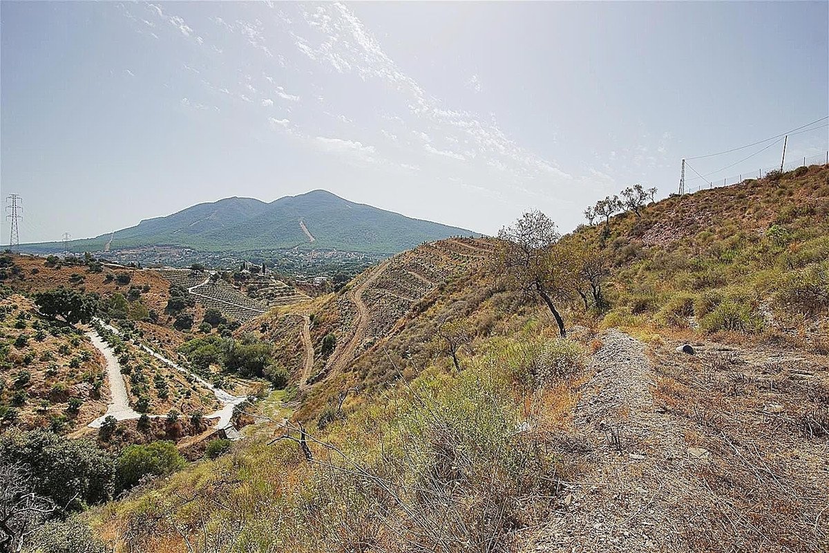 1 Bed Land in Alhaurín el Grande in Alhaurín el Grande — Finca