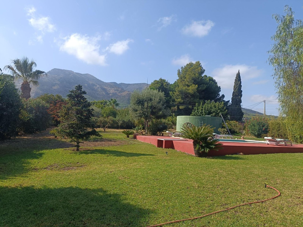 04 photo