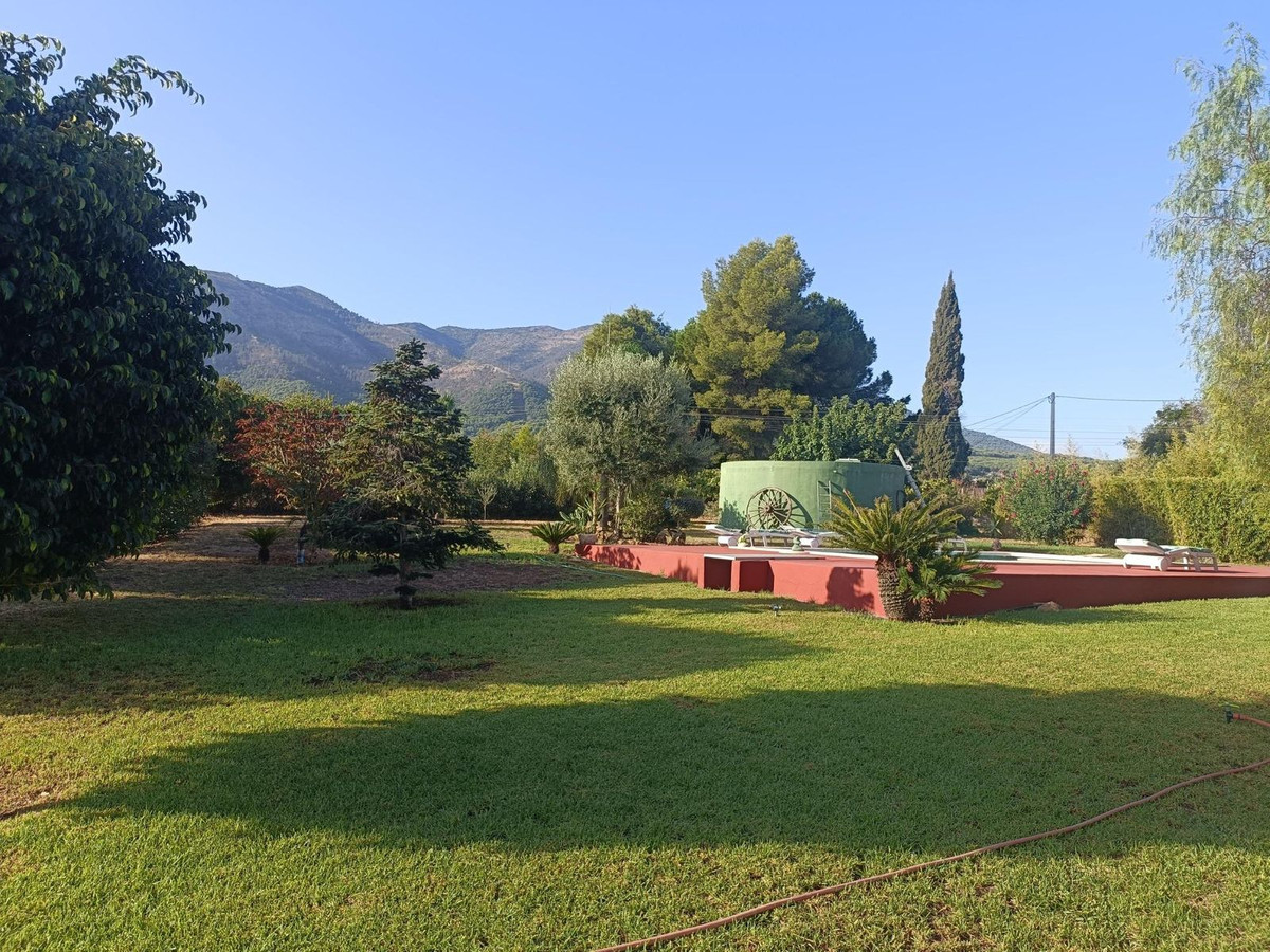06 photo