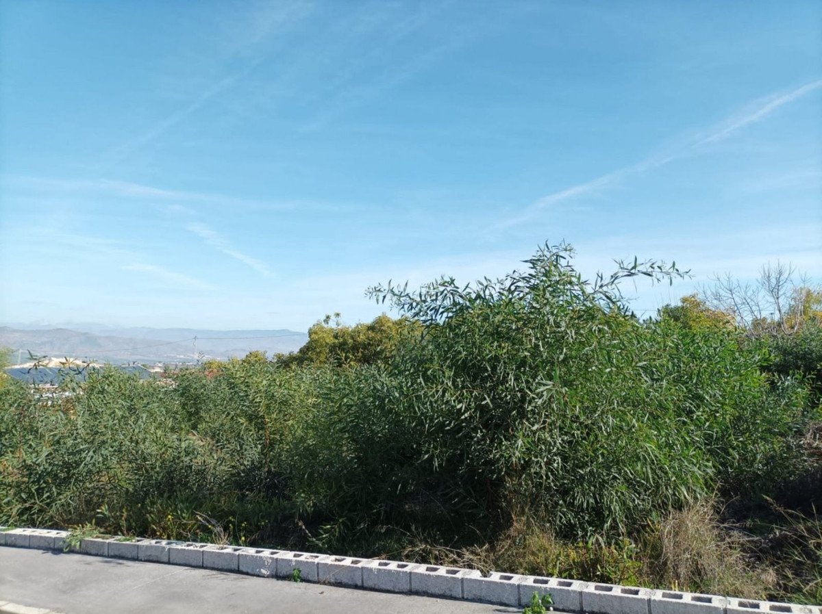 04 photo