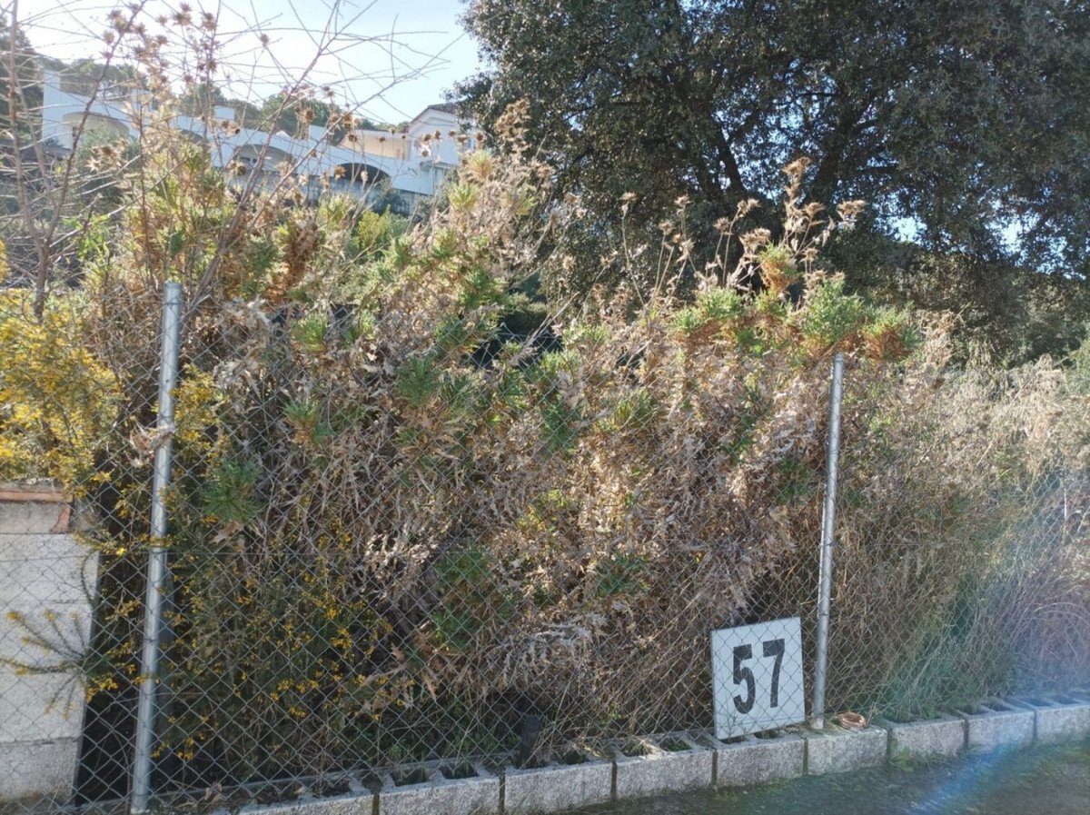 05 photo