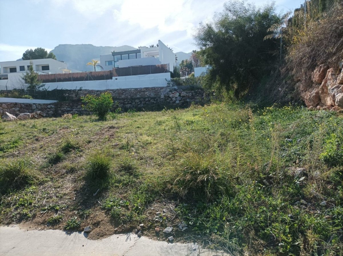 08 photo