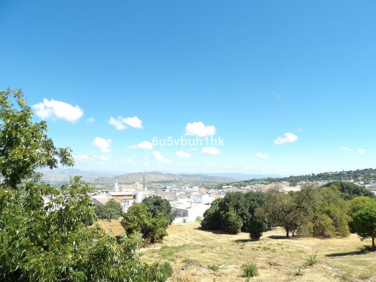 06 photo