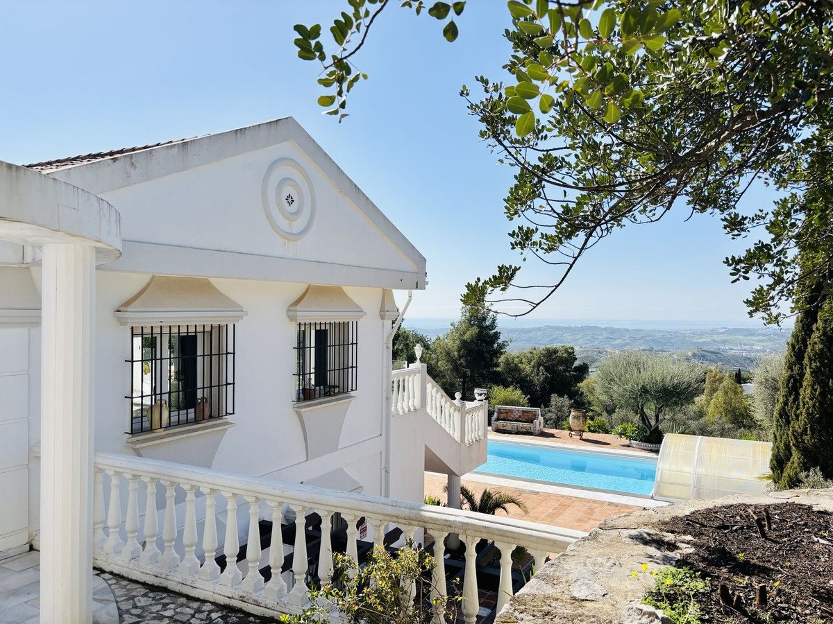 20 photo