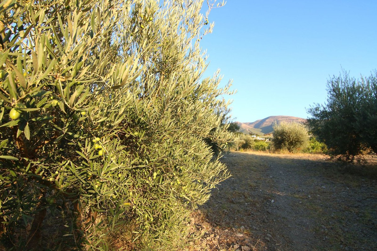 07 photo