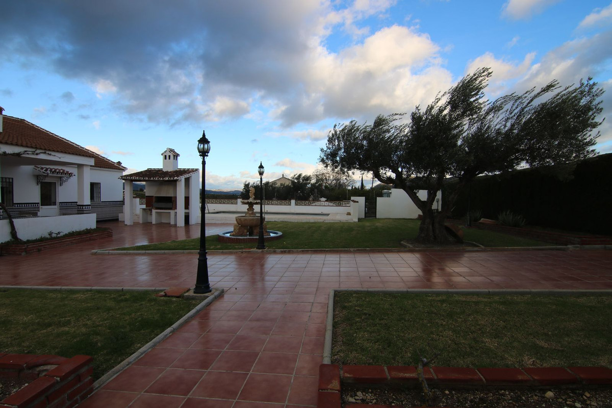 06 photo