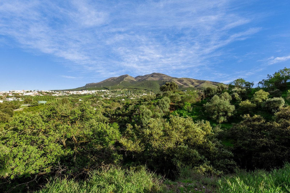 04 photo