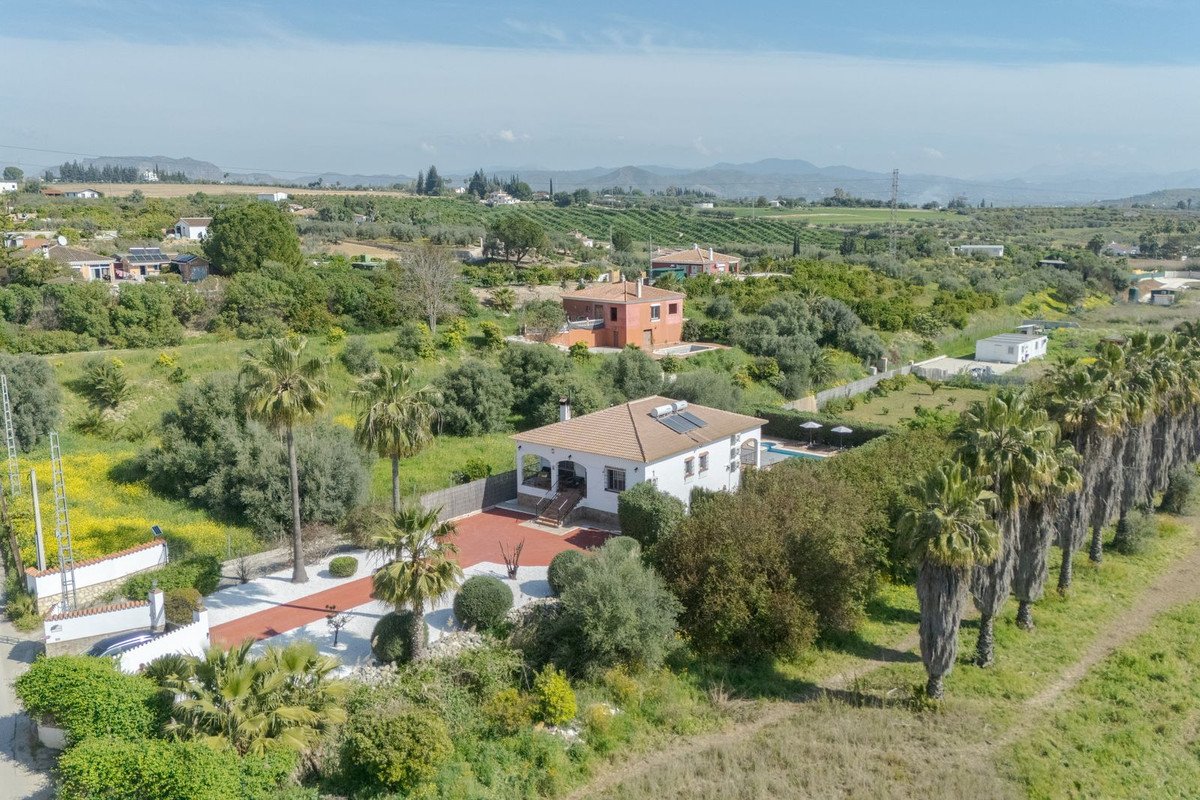 06 photo
