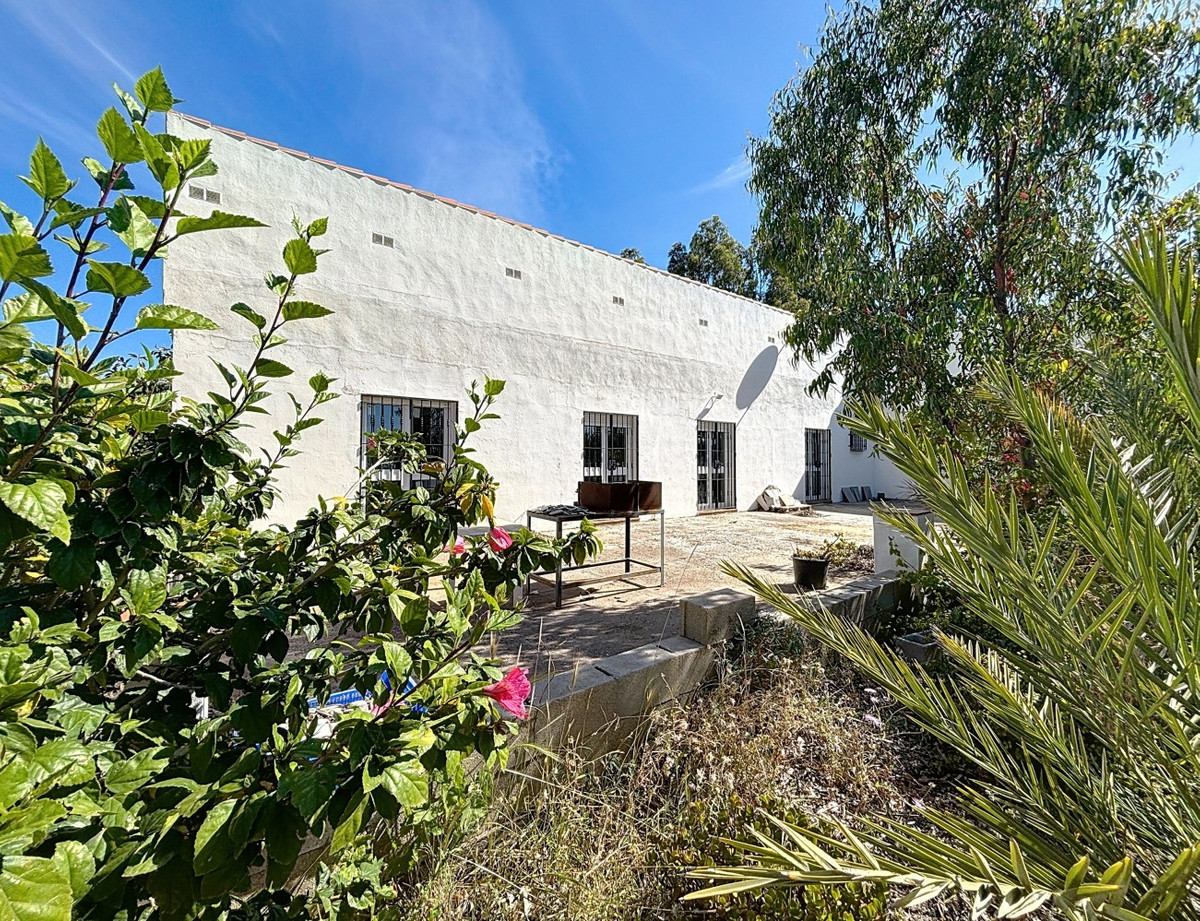 Exterieur van een wit huis met tuin en terras.