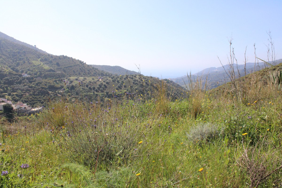 Land with Ruin in Almuñecar in Almuñecar, 