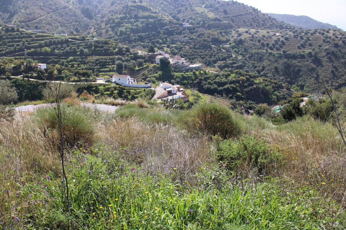 04 photo