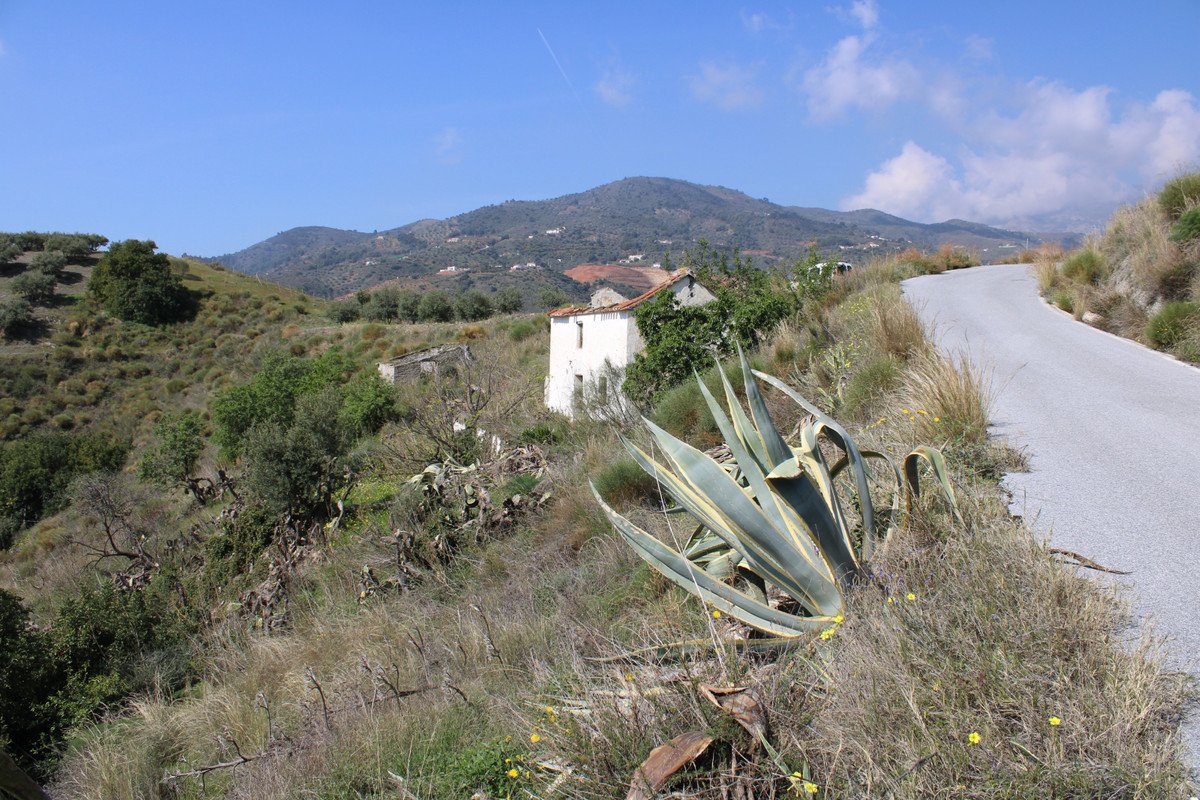 05 photo