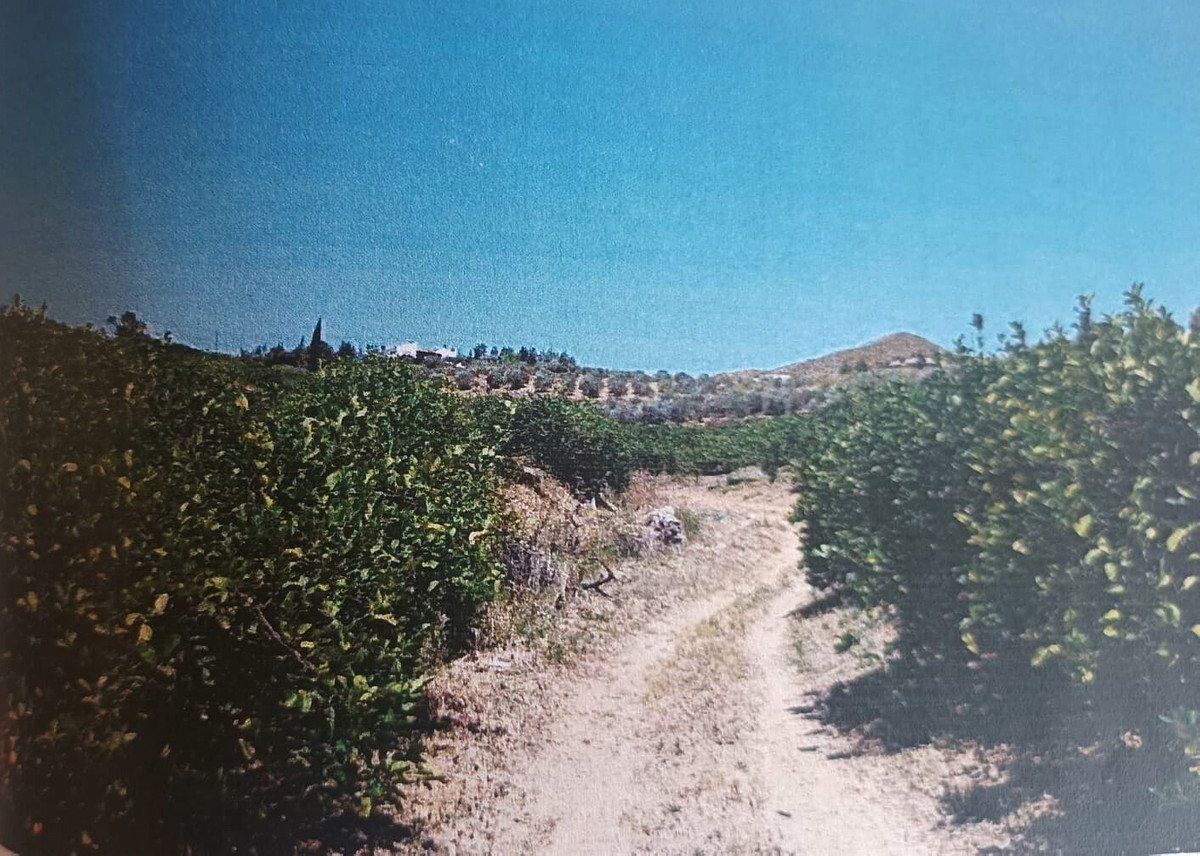 02 photo