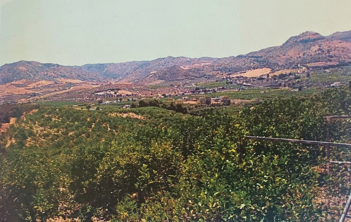 05 photo
