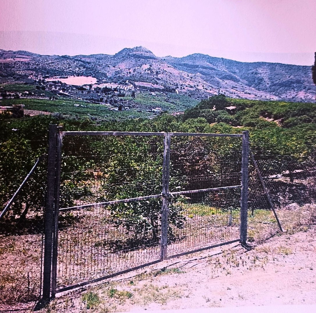 06 photo