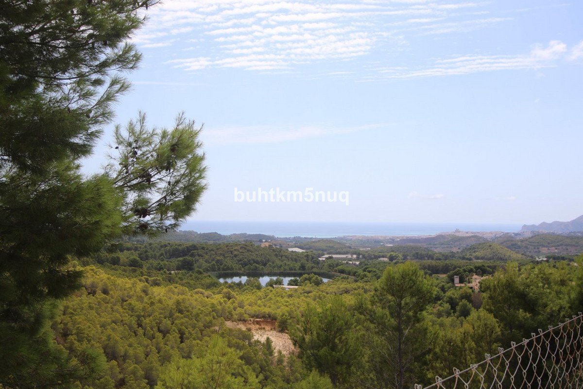 22 photo