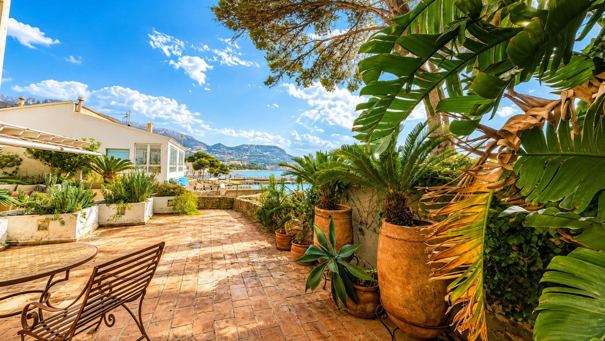 Sunny terrace with outdoor seating, lush palm trees, and a view of the sea and distant mountains under a blue sky.