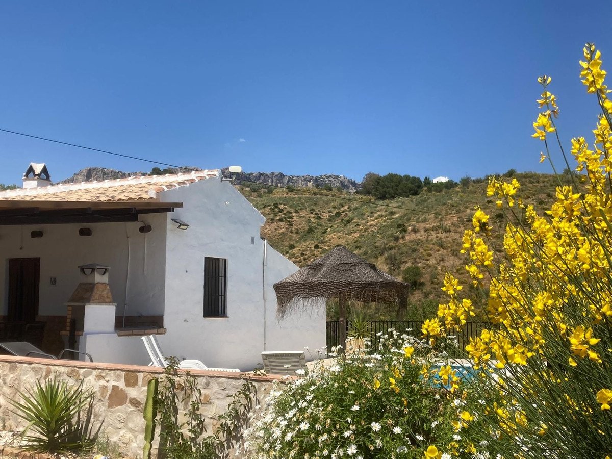 White villa with outdoor seating, pool, and lush yellow flowers against a backdrop of rolling hills.