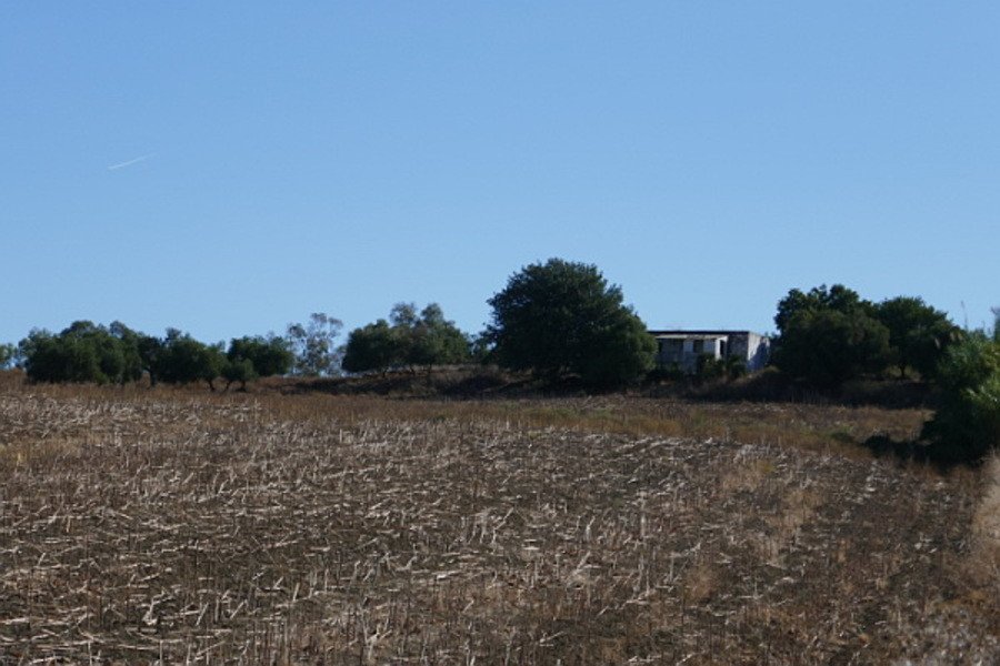 06 photo