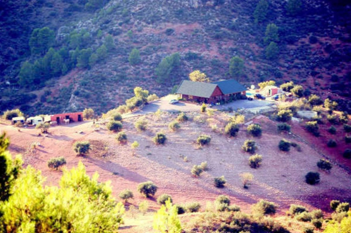 04 photo