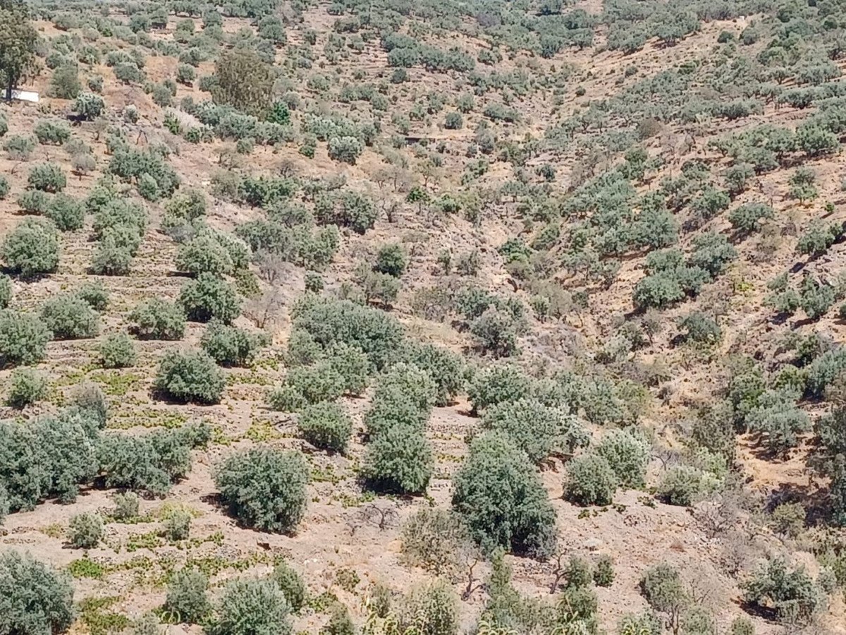 1 Bed Land in Arenas en Arenas — Land